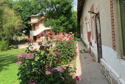 De Vânzare – Fermă de Pomi Fructiferi, 48,8 ha, Iancu Jianu, Jud. Olt - 21