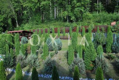 AX949 Pensiune Exclusivista In Inima Statiunii Sovata - 4