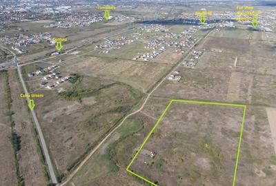 Teren Construcții intravilan de 600 mp, în Moșnița Nouă