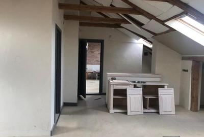 Spatiu industrial productie mobilier, jud Mures - 10