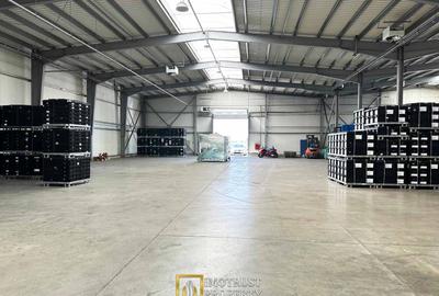 De Inchiriat Hala industria- PREMIUM – 720 mp, Arad | Doc, rampă TIR - 3