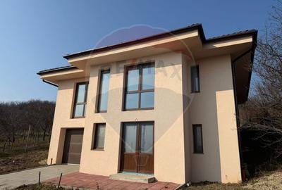 De vânzare Casă nouă cu 4 camere, teren 1190 mp Cartier Podgoria - 1