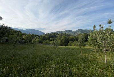 TEREN INTRAVILAN 2.000 MP ÎN PEȘTERA – MOIECIOU | IZVOR PROPRIU | UTILITĂȚI | D - 18
