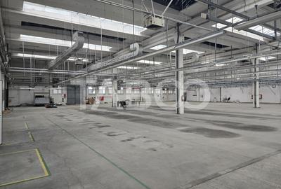 Spațiu industrial, de 1,923.00 mp, în Cisnădie