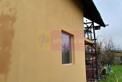 BARCANESTI -  casa +curte+teren 16k mp - 17