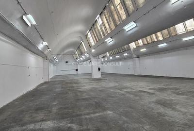 Pantelimon hala 1648 mp de inchiriat - 1