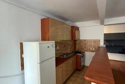 Apartament cu doua camere de inchiriat, decomandat, zona Parc Sub Arini. - 2