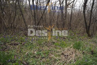 VAND CASA DEMOLABILA+6700 MP TEREN,PRIVELISTE PANORAMICA,DEJ - 6