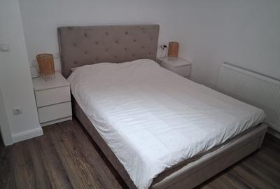 Casa Individuala Valea Budacului 500mp teren - 14