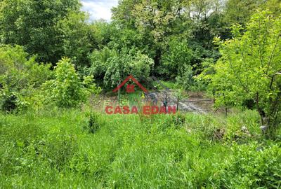 Casa 2010 in Scorteni 7 camere teren 1222mp 62.000e - 4