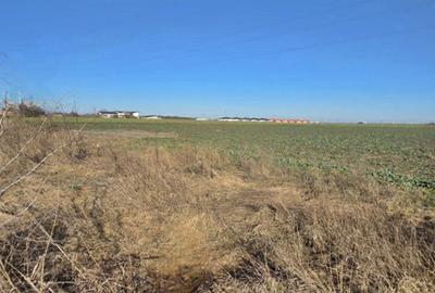 Eforie Nord | Teren cu Potențial | Deschidere mare la șosea - 5