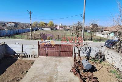 Casa/Vila de vanzare in Podari - 12