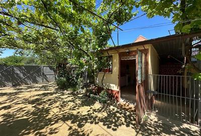 Casa Cocheta, Locuibila imediat,  cu Gradina si Curte,1500mp., Com.Birda. - 28
