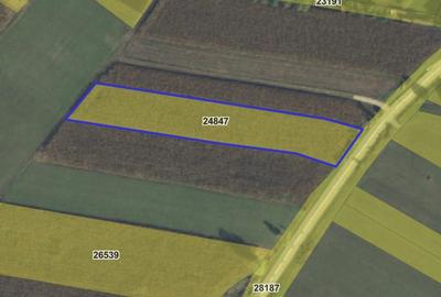 Teren intravilan de vânzare în Bicfalău! - 9