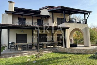 VILA SNAGOV WATERFRONT - PISCINA - PONTON 40M DESCHIDERE LA LAC - 7