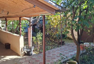 TEREN 331MP | DESCHIDERE 12M - 6