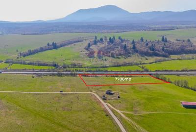 Teren 7786 mp/Curți construcții/Benzinărie - 1