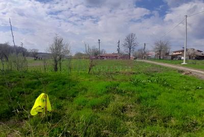DE VANZARE TEREN 3400 MP IN SAT PODU ILFOVAT / COM BUTURUGENI (GR) - 19