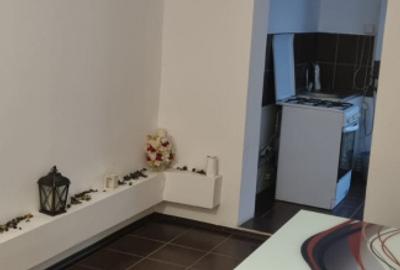 Apartament 2 camere Progresu, parter cu balcon mare. - 4