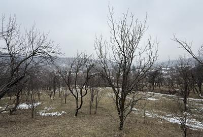 Teren 4652 mp cu izvor pe el, Lunca Mare, lângă păstrăvăria Doftana - 14