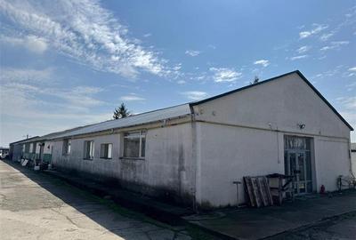 Hala de vanzare, 1500 mp, teren 7157 mp, H - 7 metri, zona Metro-Bras - 4