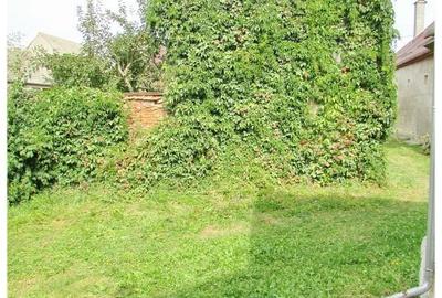 Casa deosebita cu gradina generoasa Vladeni - 18