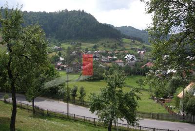 Teren intravilan 3214 mp  în Rucăr cu deschidere 56 m în DN73 - 4