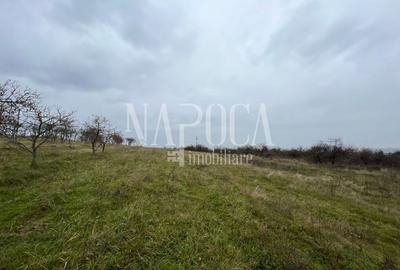 Teren intravilan pentru constructii de vanzare in Feleacu - 1