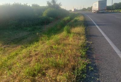 TEREN DE VÂNZARE-32480 mp CARANSEBEȘ JUD.CS,  0% COMISION - 5