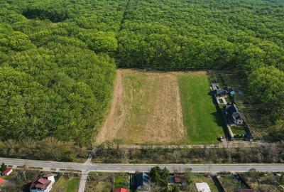 EXCLUSIVITATE-PROIECT UNIC PADUREA SNAGOV! Loturi 400-600 m2 ,PUZ rezidential - 6