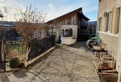 Casă / Pensiune de vânzare – Balta, Gorj - 18