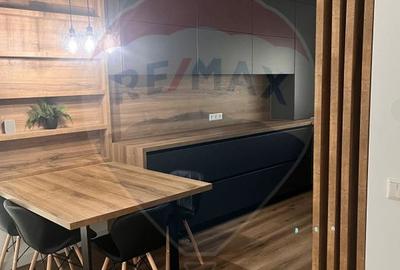 Duplex de închiriat str. C.I. Nottara, Selimbar - 25