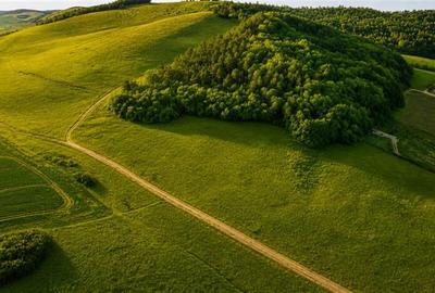 6.000 mp teren granitat de liziera compacta de padure, ecran natural de liniste, - 10