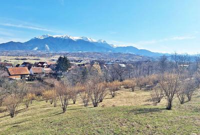 Comision 0%! Teren superb de 17000mp la 5 min de Castelul Bran, 13 euro/mp - 11