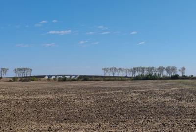 Teren de 19.000 mp de vanzare in Ștefanestii de Jos - ideal pentru hale. - 2