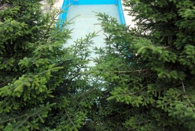 Vând urgent o Vilă "Vip 1" - Ds.+P.+1Et.+M. - 14 cam. mari, o casă și 2 terenuri - 5