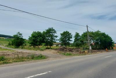 De vanzare teren pretabil ptr constructie pensiune - 3