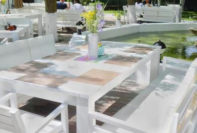 Afacere la Cheie: Complex Turistic în Murighiol, Delta Dunării - 11