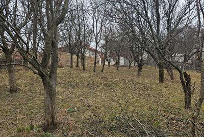 PROPRIETAR-Vand pensiune, Comarnic - 11