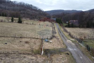 Teren 999 mp. Front 15,70 ml. Valea Garbaului - Floresti - 15