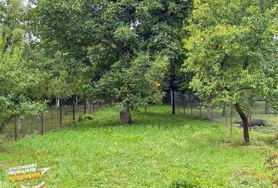 FILM!  2 case,domeniu de 1.660mp, cu atelier,anexe,Lemnia,Covasna - 38