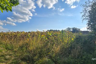Teren cu suprafata de 3200mp la strada in Manastirea Doamnei - 2