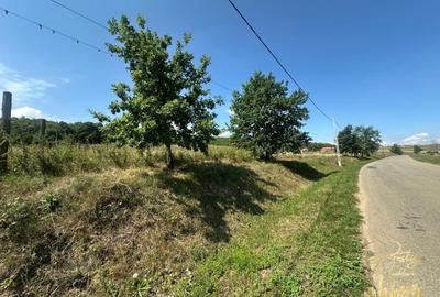 Teren intravilan de 576 mp de vanzare pe drumul DC59 , Haieu - Bihor - 1