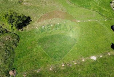 Teren 12,127mp Frasin / Drumul Forestier Valea Seacă - 4