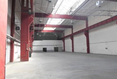 Hală industrială Clasa B disponibilă pentru închiriere Lugoj - 3