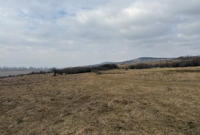 Teren agricol extravilan de 67.500 mp, în Dealul Daii - 4