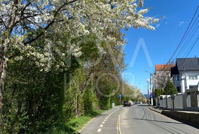 Casa individuala  - vedere spre padure - Parcul Sub Arini - 38