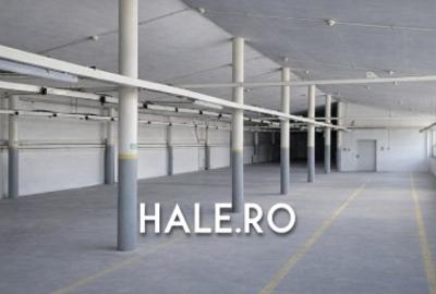 Hala de inchiriat Chiajna pentru depozit sau productie 1060 mp - 2