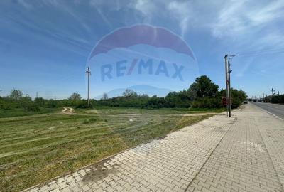 Teren 545,000mp Dragomiresti-Vale - 6