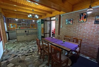 Afacere la cheie! Pensiune (casa de locuit) cu restaurant zona Cugir! - 7